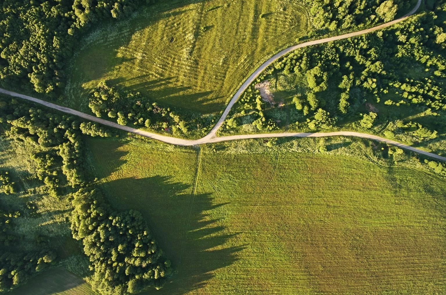 Large agricultural fields and centre-pivot irrigation